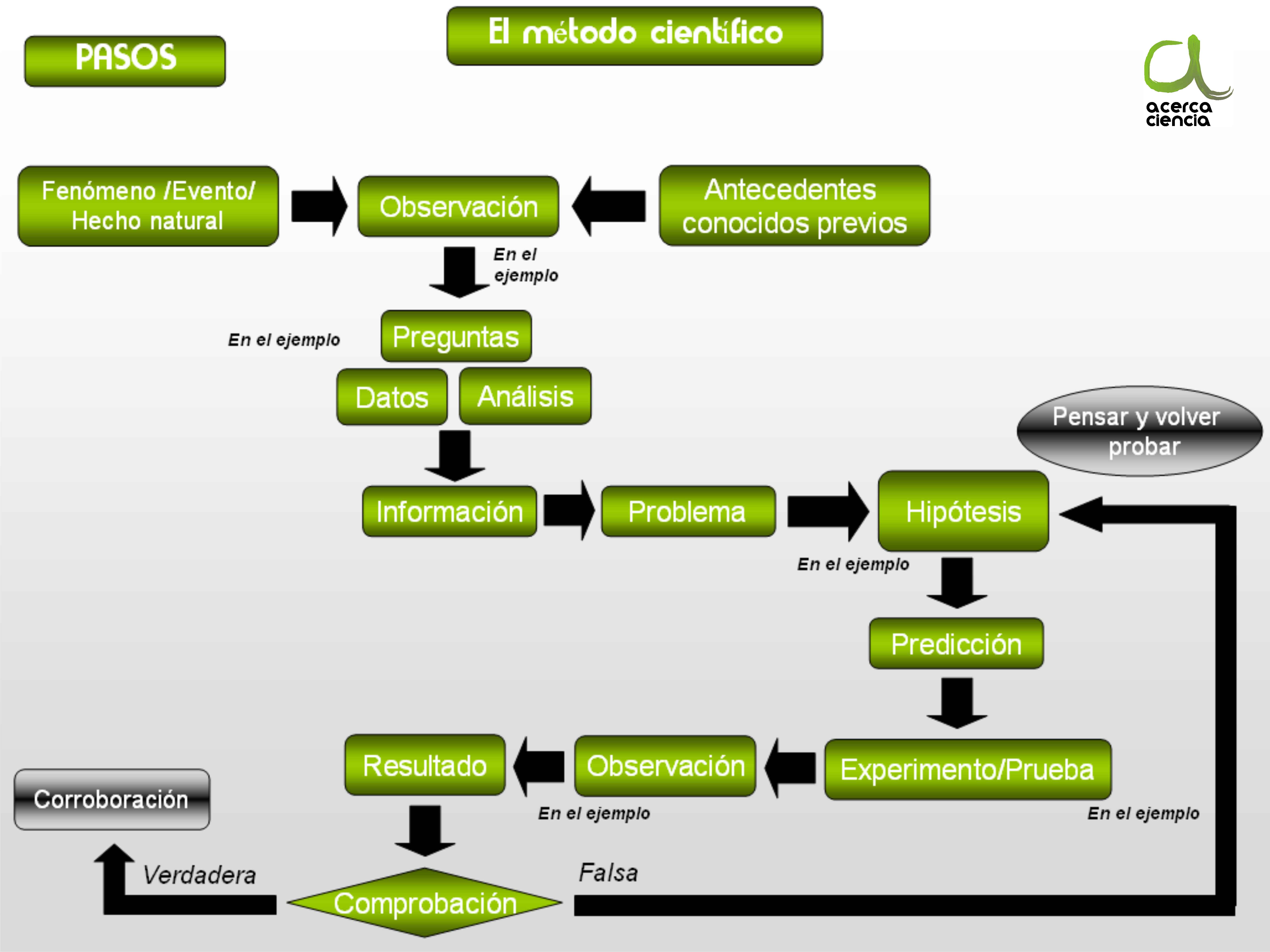 Aplicando el método científico en tu jardín - AcercaCiencia