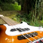 Guitarra