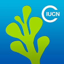 MedMIs IUCN