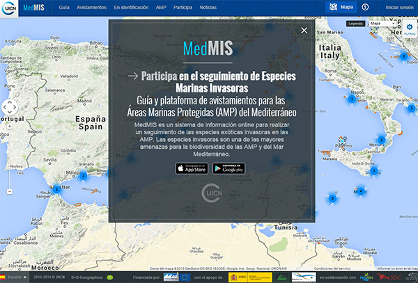 mapa medmis