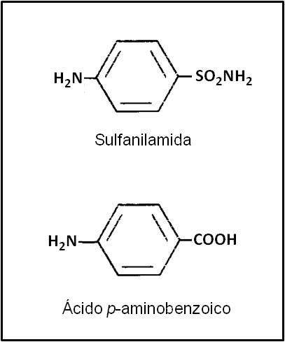 Ácido p-aminobenzoico y su similitud con la estructura de las sulfamidas Sulfamidas