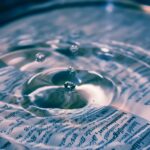 Transparencia
