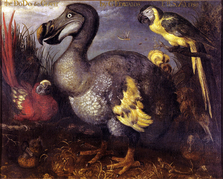 Dodo pintado por Roelandt