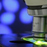 Microscopio