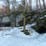 Invierno- Hibernar