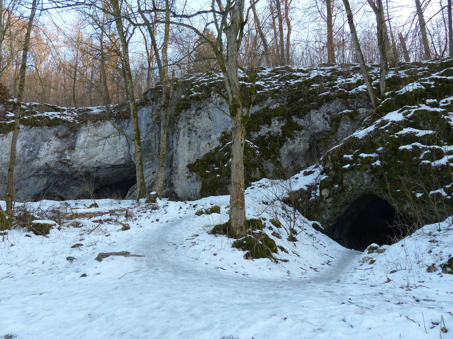 Invierno- Hibernar