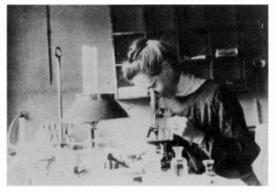 Nettie Stevens en el laboratorio